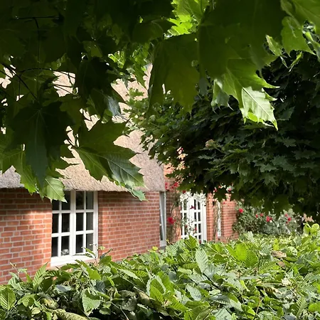 Gestuet Kriseby ליבק