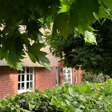 Gestuet Kriseby * Lübeck