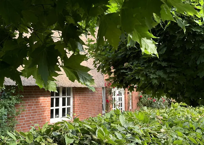 Gestuet Kriseby Lübeck